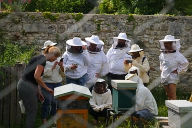 Ateliers découverte du monde des abeilles et de l’apiculture