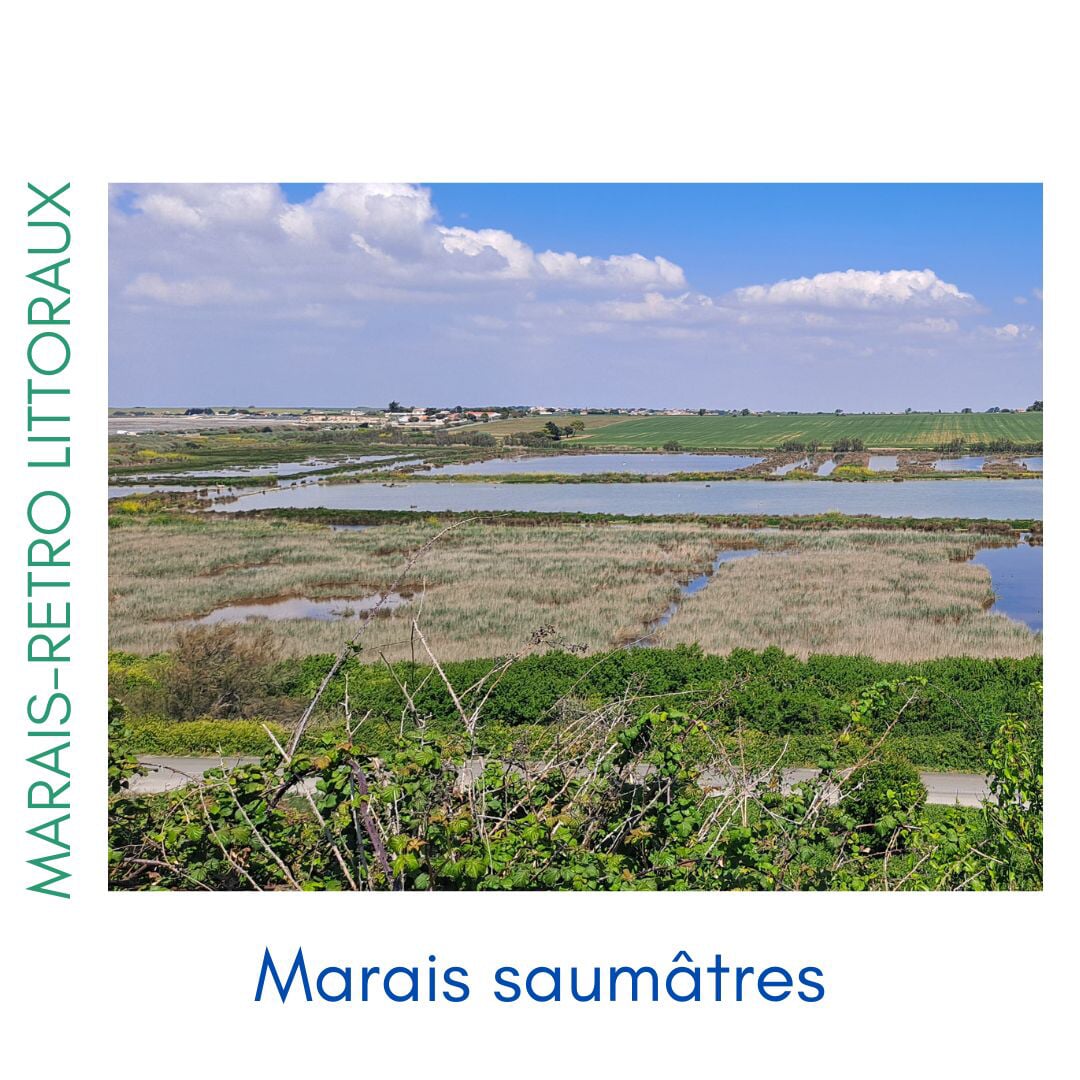 Photos des différents milieux