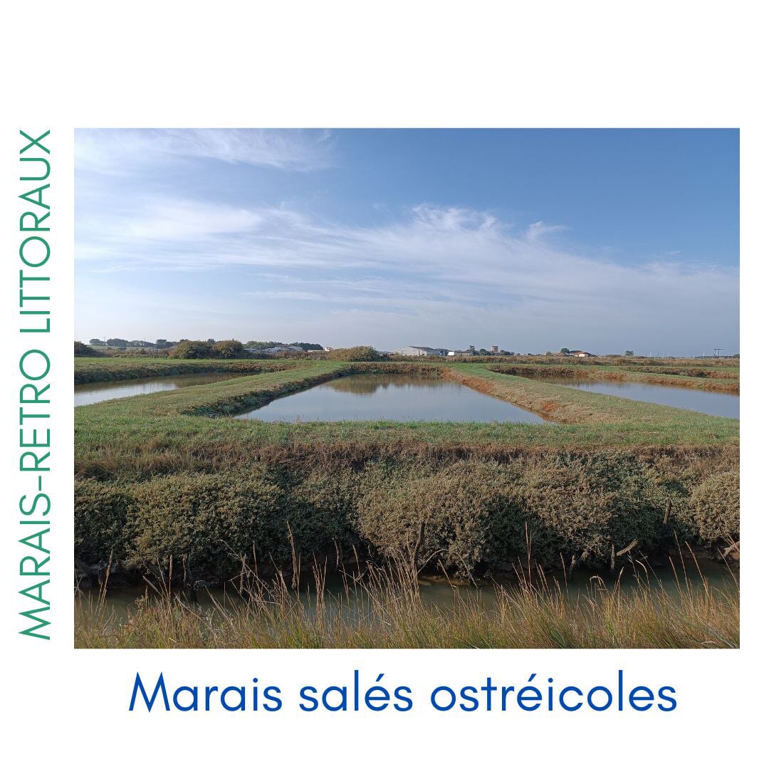 Photos des différents milieux