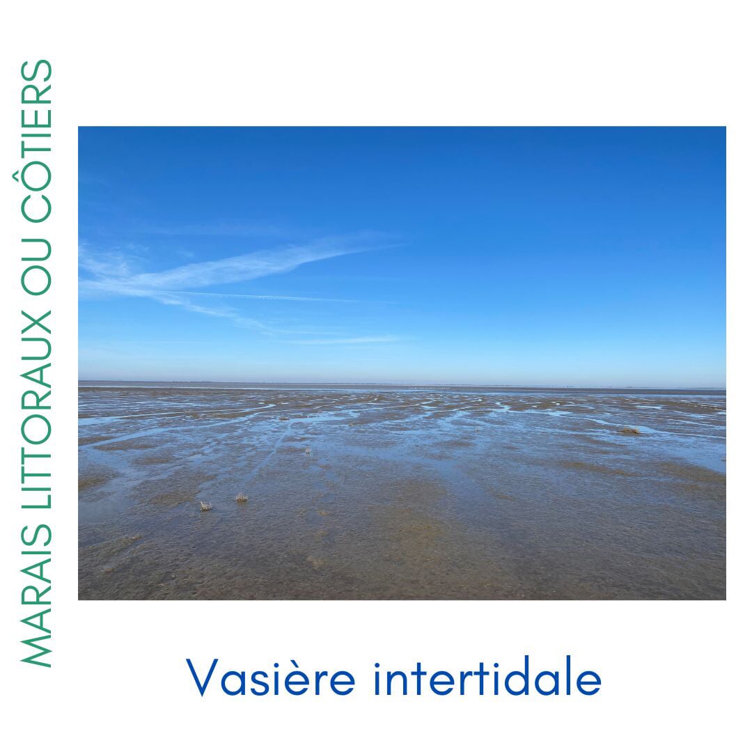 Photos des différents milieux