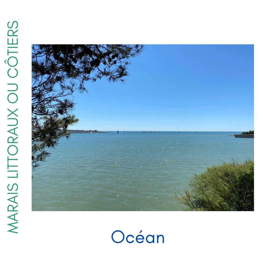 Photos des différents milieux