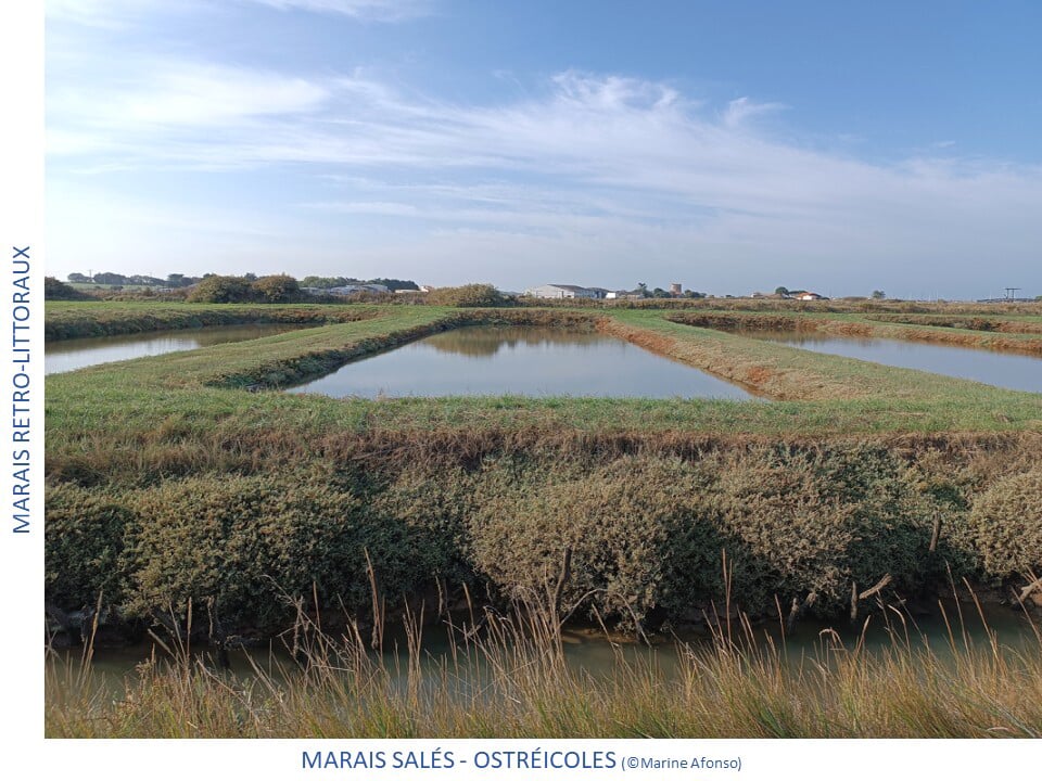 Photos des différents milieux