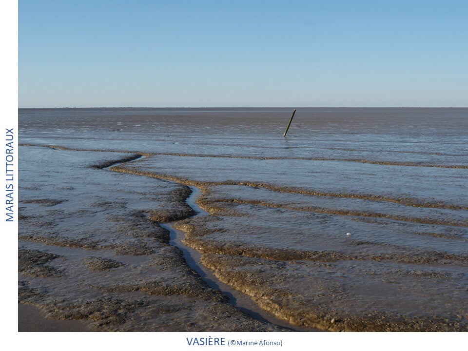 Photos des différents milieux