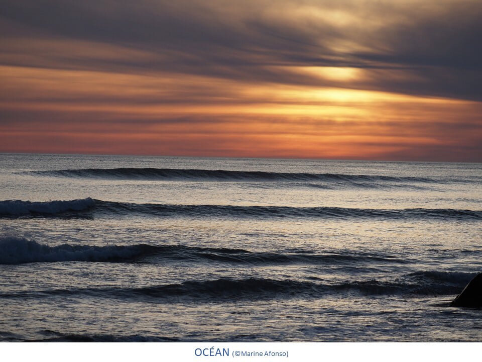 Photos des différents milieux